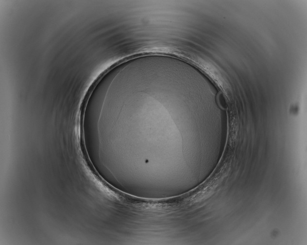 X0000101161084200807111023