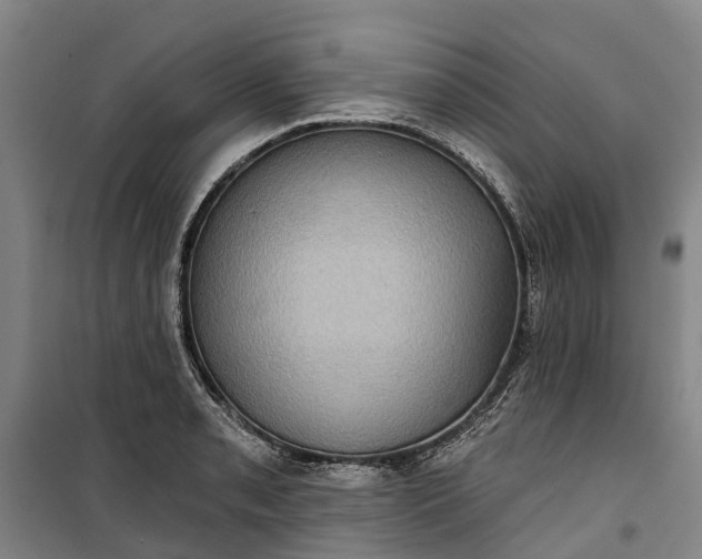 X0000101161085200807111023