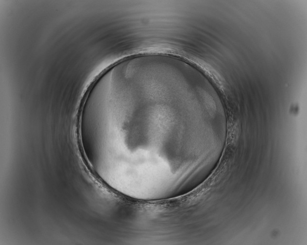 X0000101161086200807111023