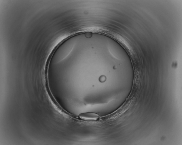 X0000101161087200807111023