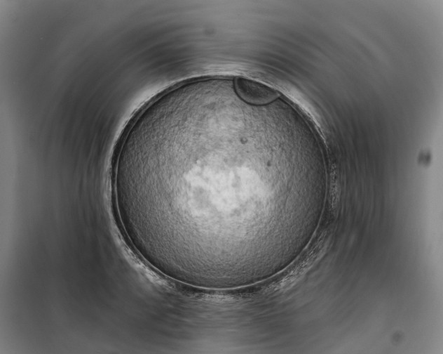 X0000101161088200807111023