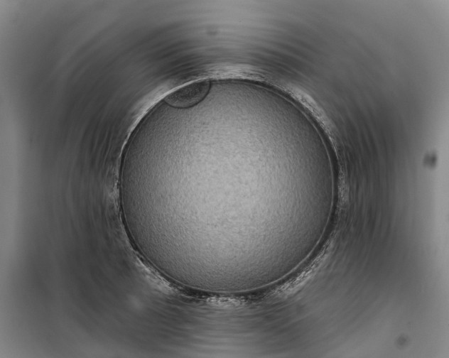 X0000101161089200807111023