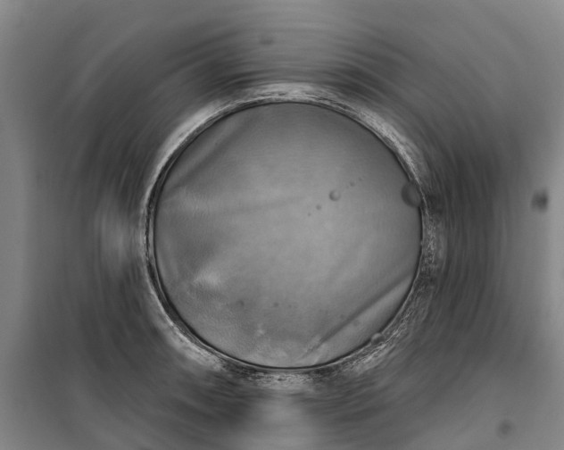 X0000101161090200807111023