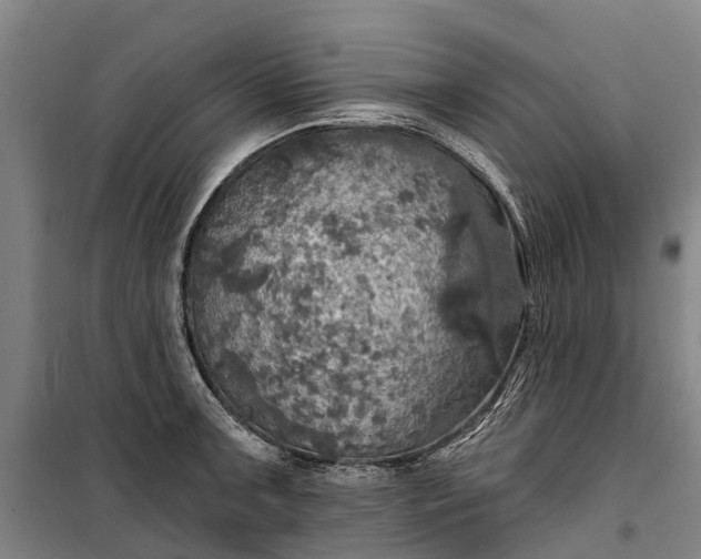 X0000101161091200807111023