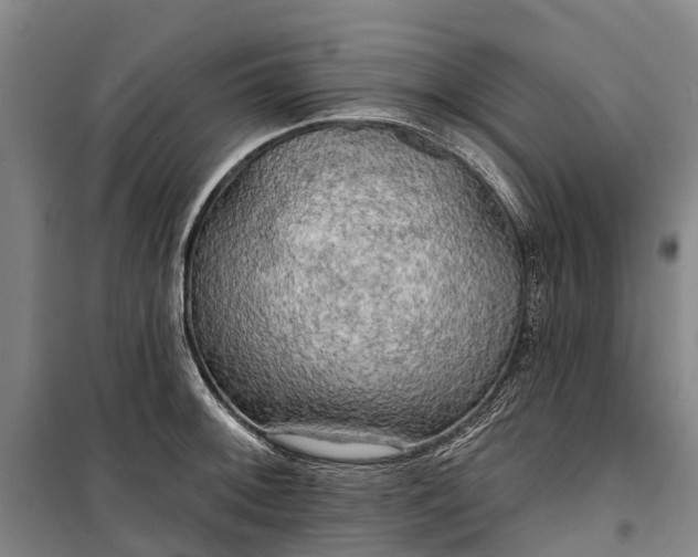 X0000101161092200807111023