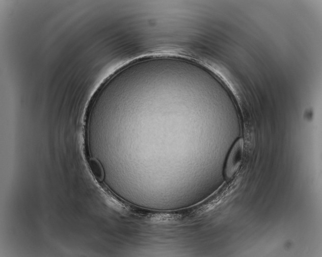 X0000101161093200807111023