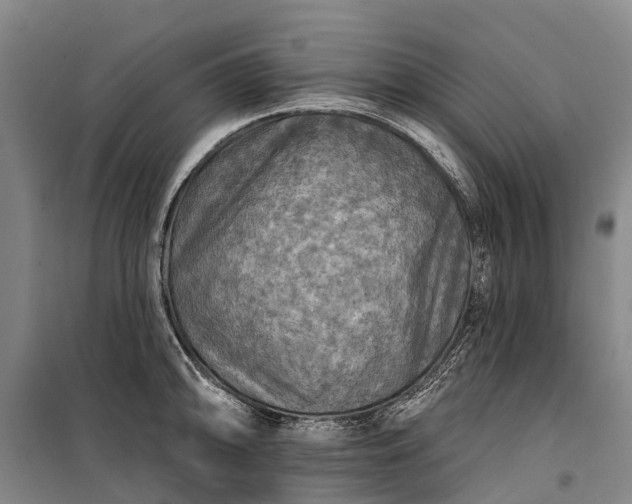 X0000101161094200807111023