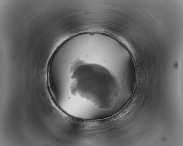 X0000101161095200807111023