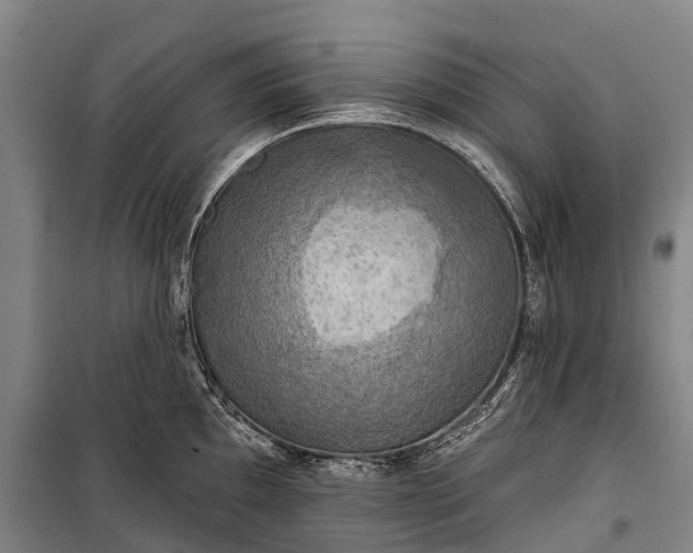 X0000101161097200807111023