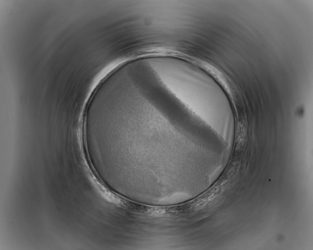 X0000101161098200807111023