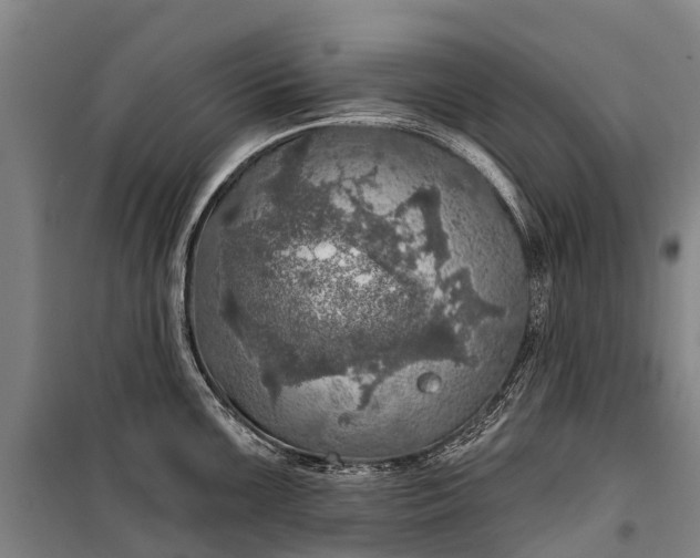 X0000101161099200807111023