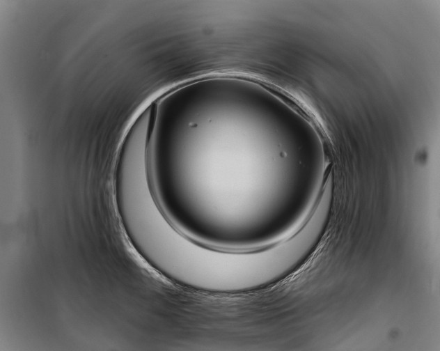 X0000101161100200807111023