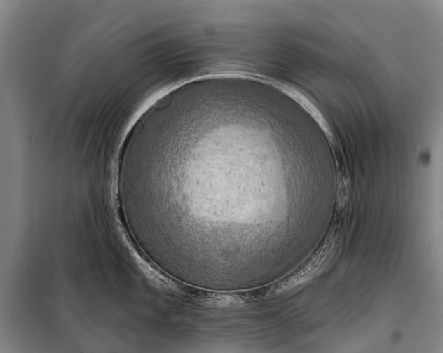 X0000101161101200807111023