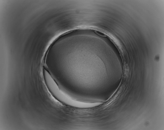 X0000101161102200807111023