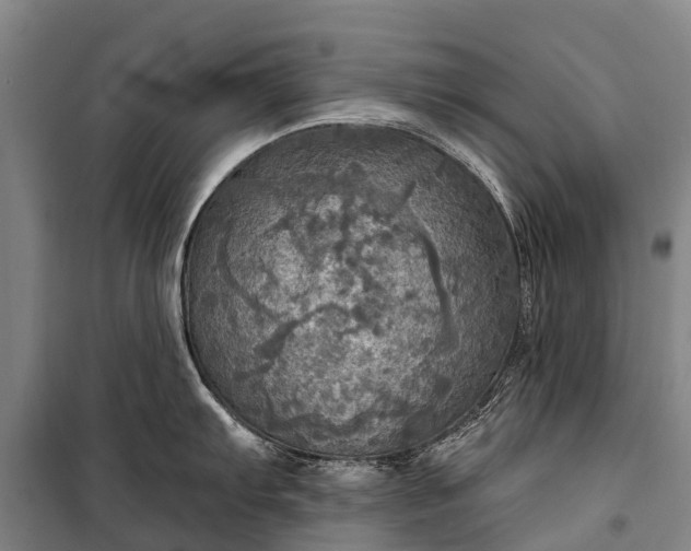 X0000101161103200807111022