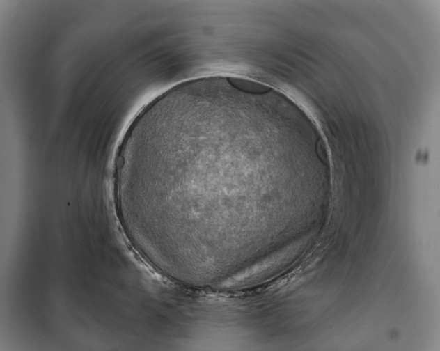 X0000101161104200807111022