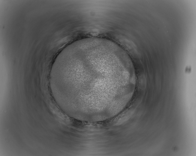 X0000101161105200807111022