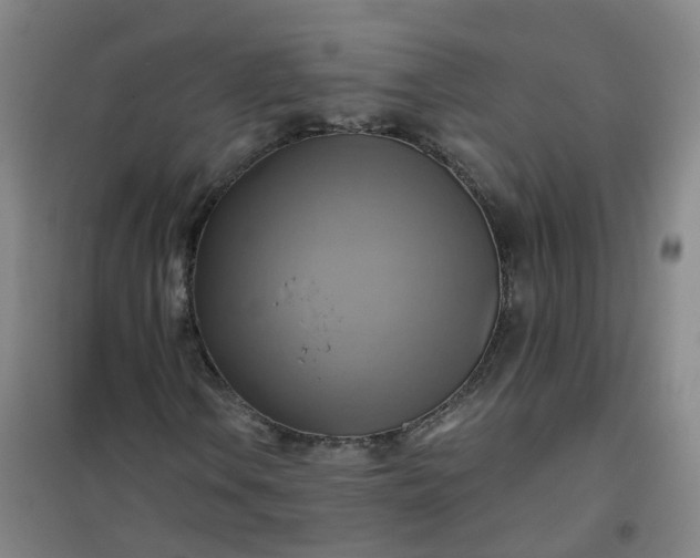 X0000101161106200807111022