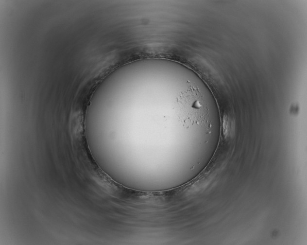 X0000101161107200807111022