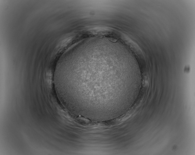 X0000101161108200807111022