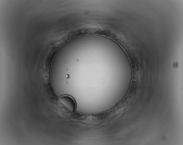 X0000101161109200807111022