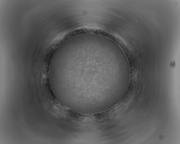 X0000101161110200807111022