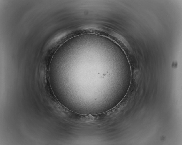 X0000101161111200807111022