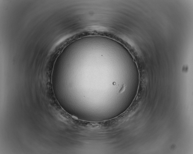 X0000101161112200807111022