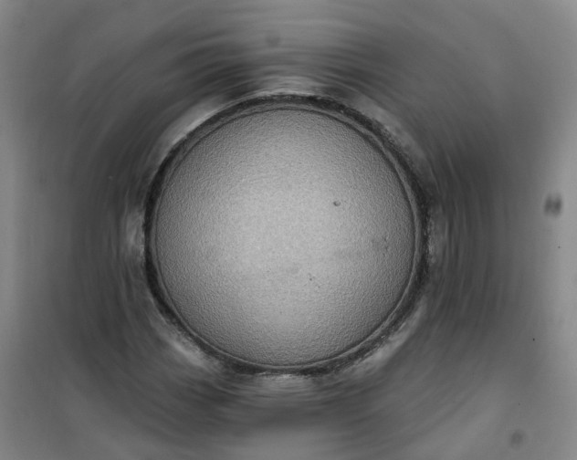 X0000101161113200807111022