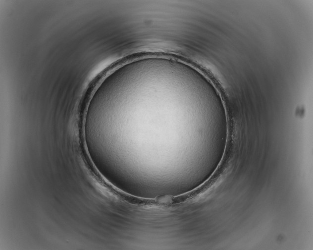 X0000101161114200807111022