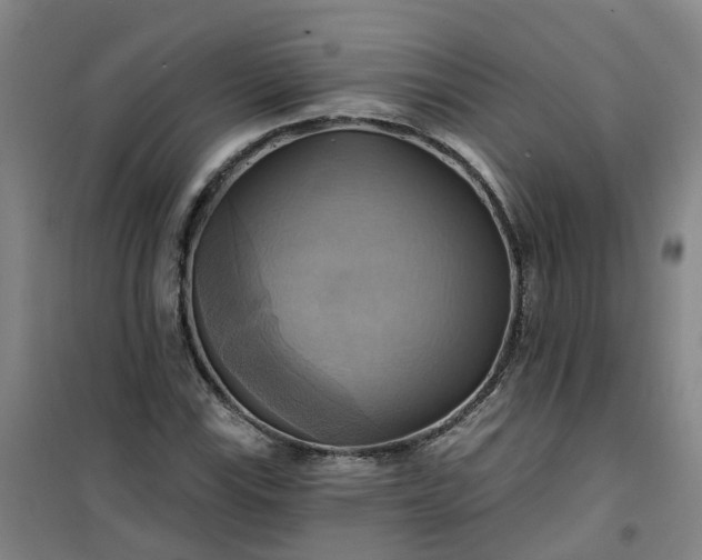 X0000101161115200807111022