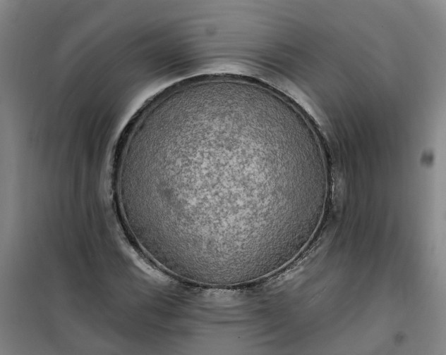 X0000101161116200807111022