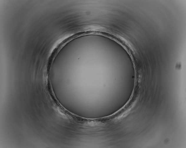 X0000101161117200807111022