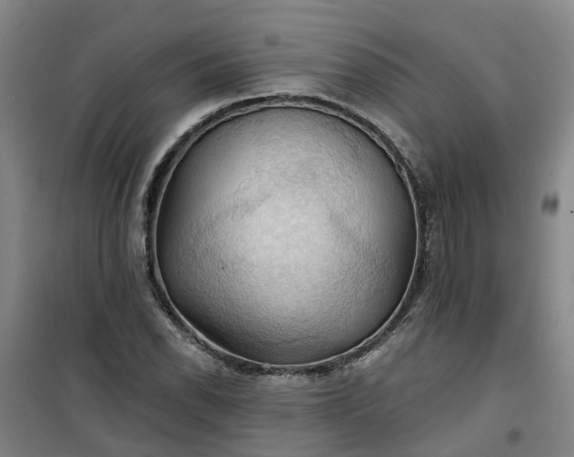 X0000101161118200807111022