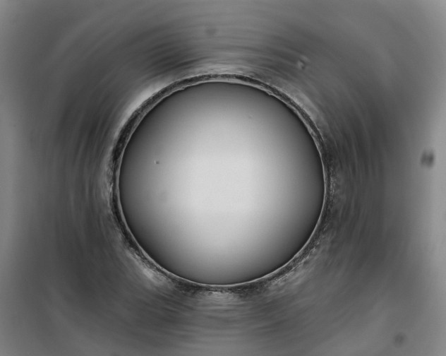 X0000101161119200807111022