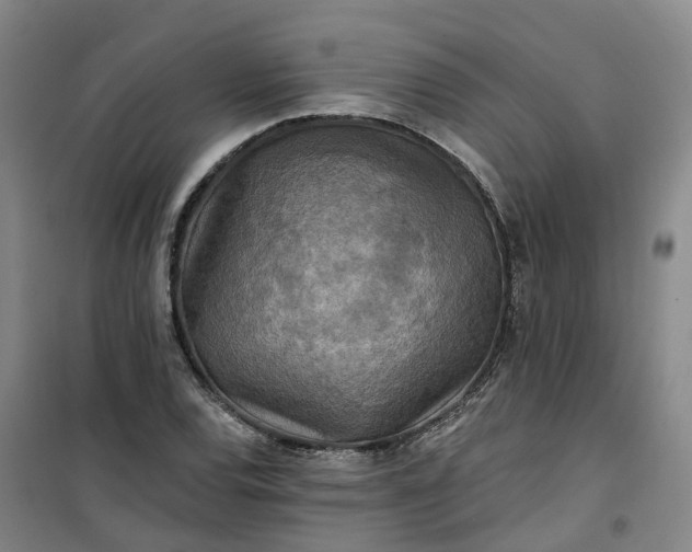 X0000101161120200807111022