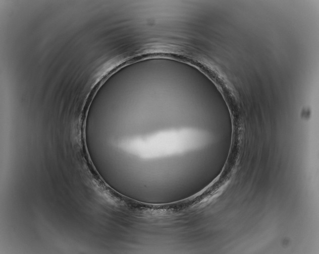 X0000101161121200807111022