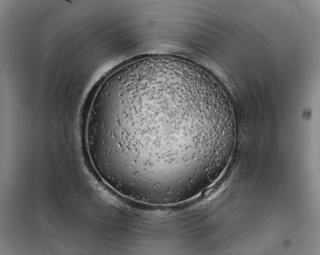 X0000101161122200807111022