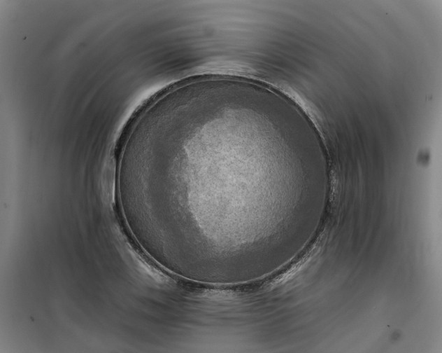 X0000101161123200807111022