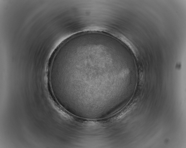 X0000101161124200807111022