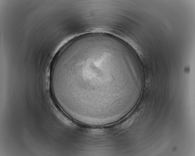 X0000101161126200807111022