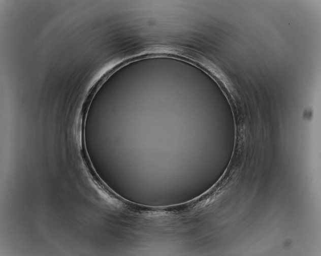 X0000101161127200807111022