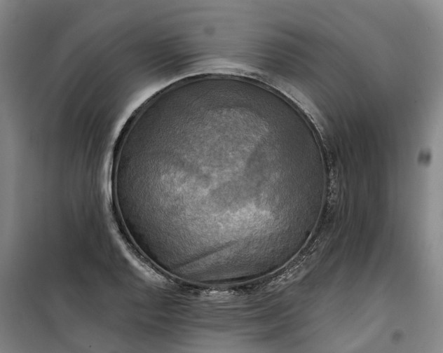 X0000101161128200807111022