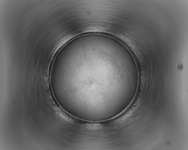 X0000101161129200807111022