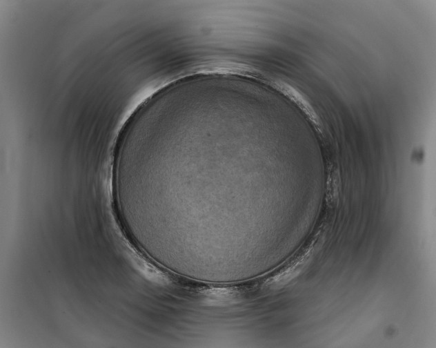 X0000101161130200807111022