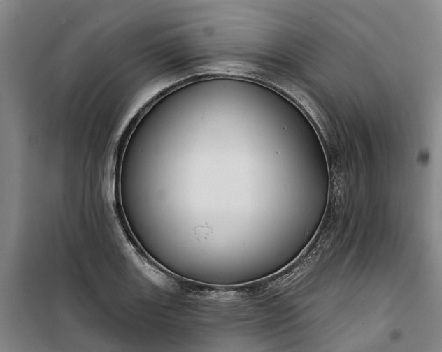 X0000101161131200807111022