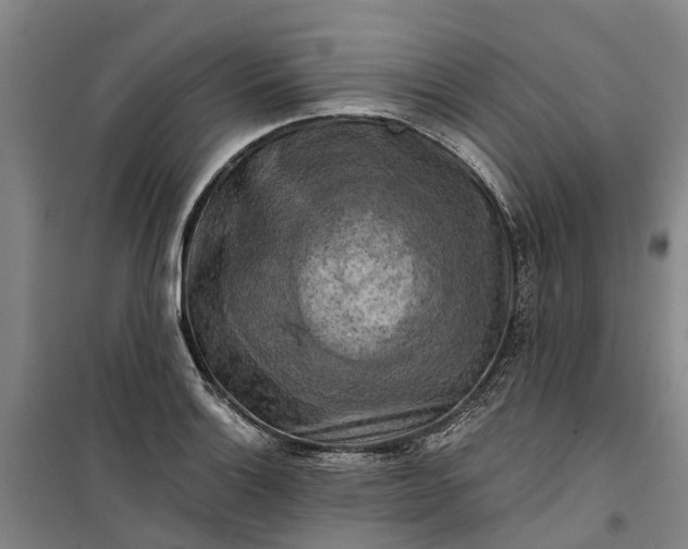 X0000101161132200807111022