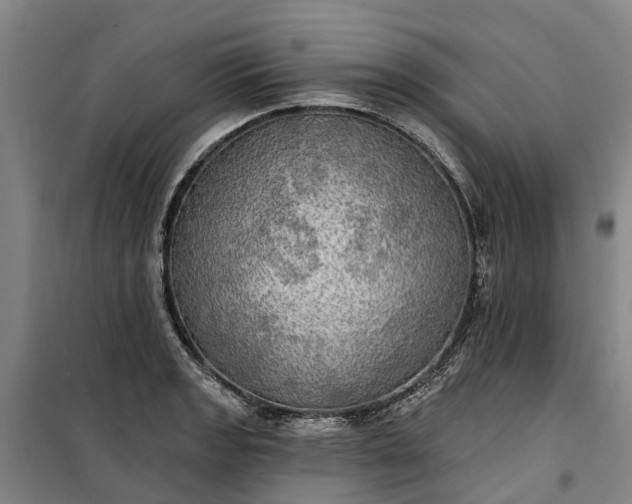 X0000101161133200807111022