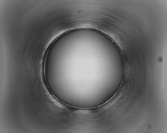 X0000101161134200807111022