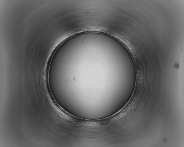 X0000101161135200807111022